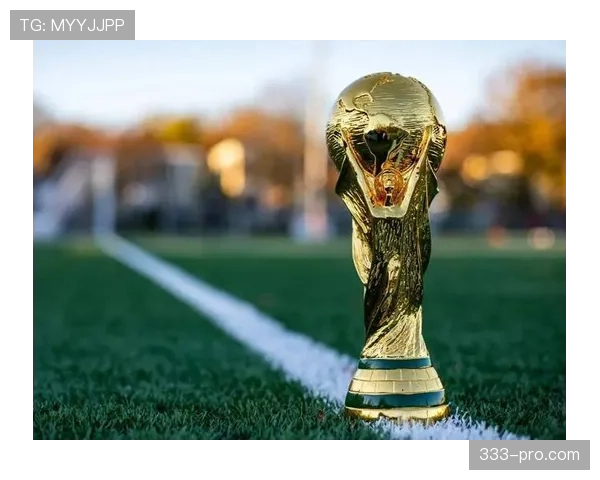 新西兰冲击2026美加墨世界杯：能否时隔16年重返决赛圈